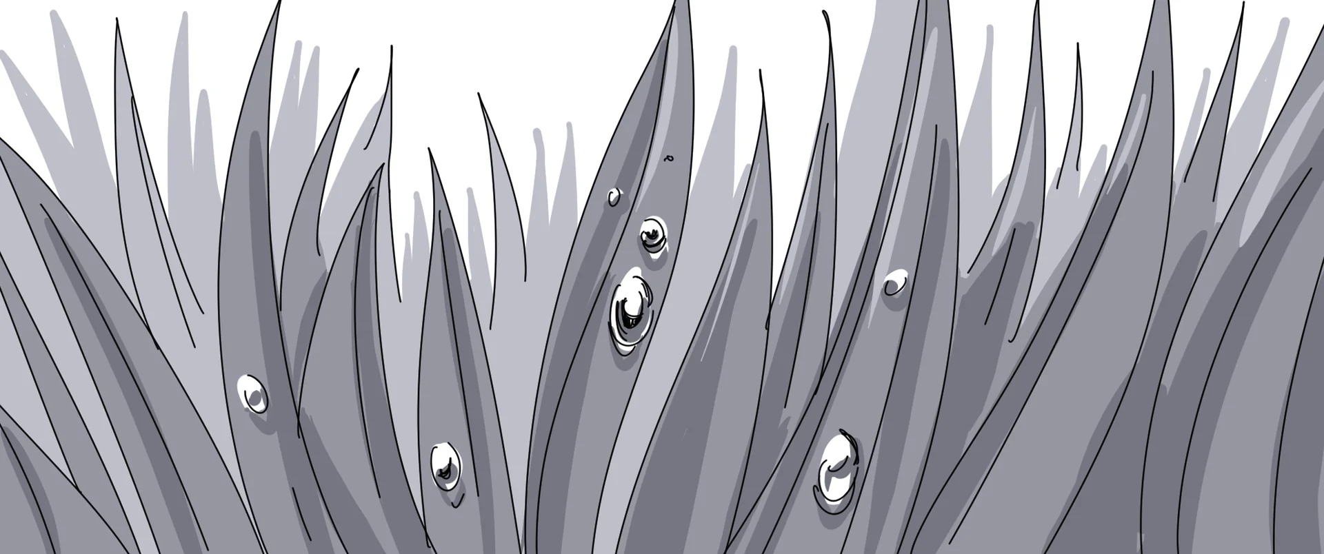 What We See — Storyboards 2